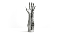 Auf dem Bild ist eine Kombination aus einer menschlichen Hand und einer mechanischen Struktur zu sehen, die eine futuristische Prothese darstellt.